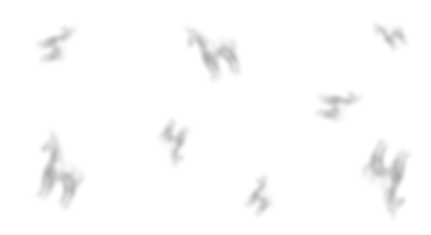 Cornelia Confettis